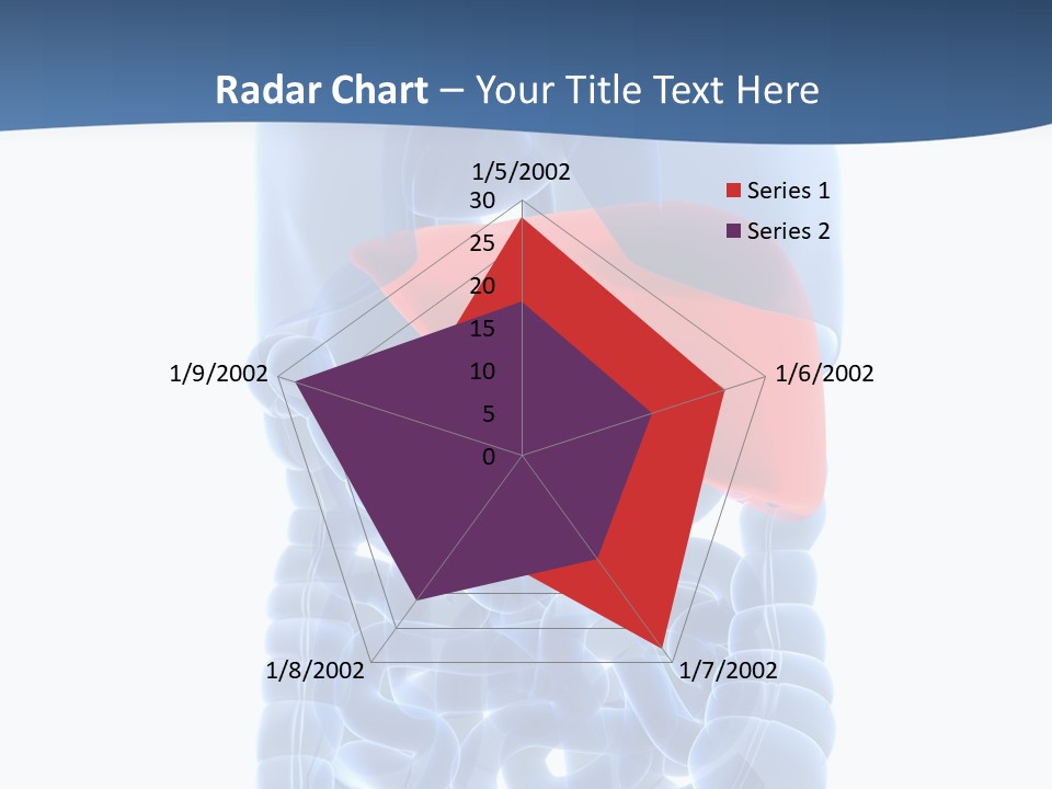 Anatomy Highlighted Belly PowerPoint Template