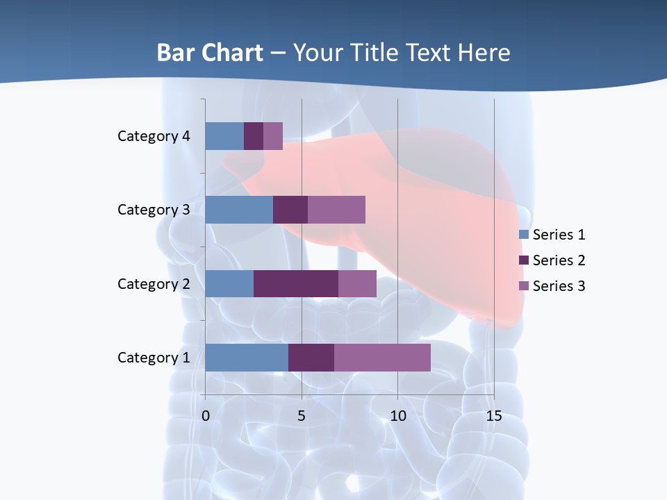Anatomy Highlighted Belly PowerPoint Template