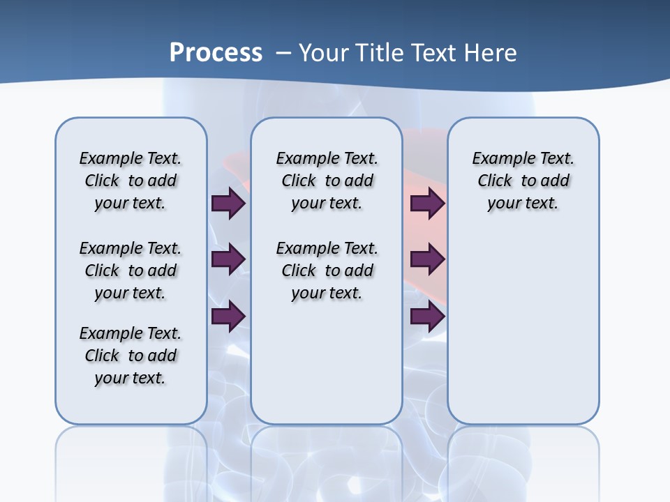 Anatomy Highlighted Belly PowerPoint Template