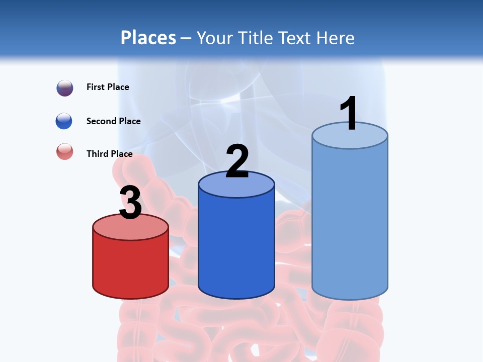 Vitals Organ Biology PowerPoint Template