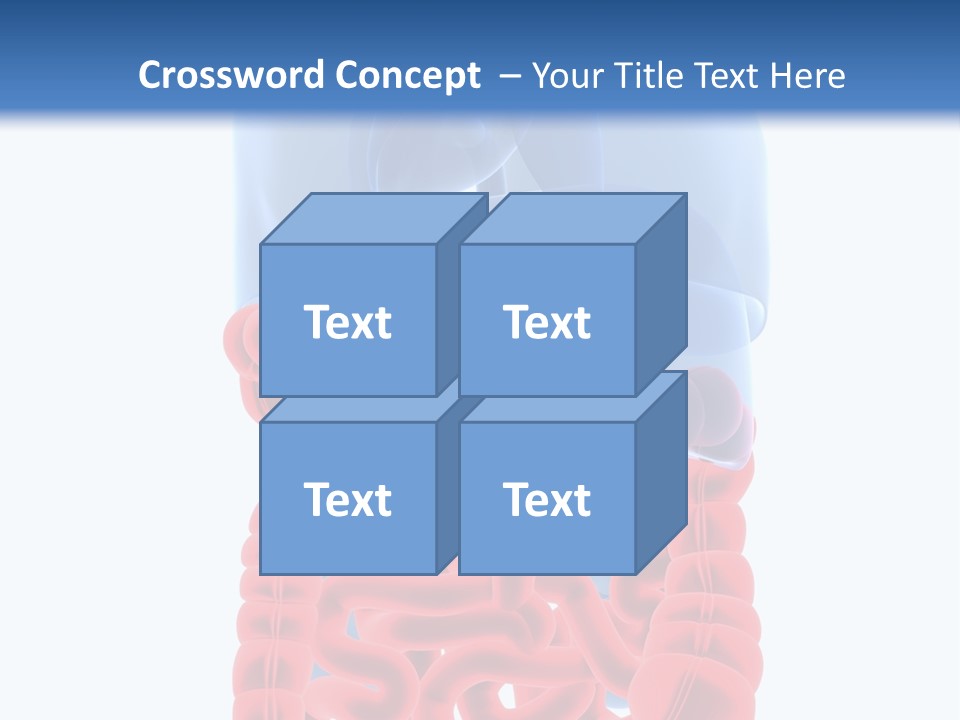 Vitals Organ Biology PowerPoint Template