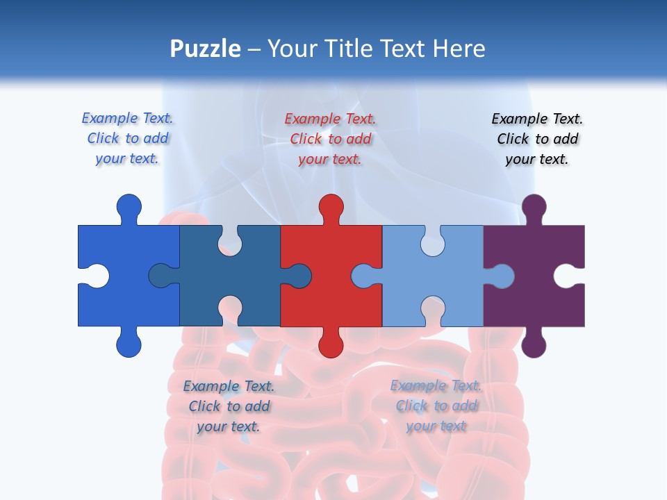 Vitals Organ Biology PowerPoint Template