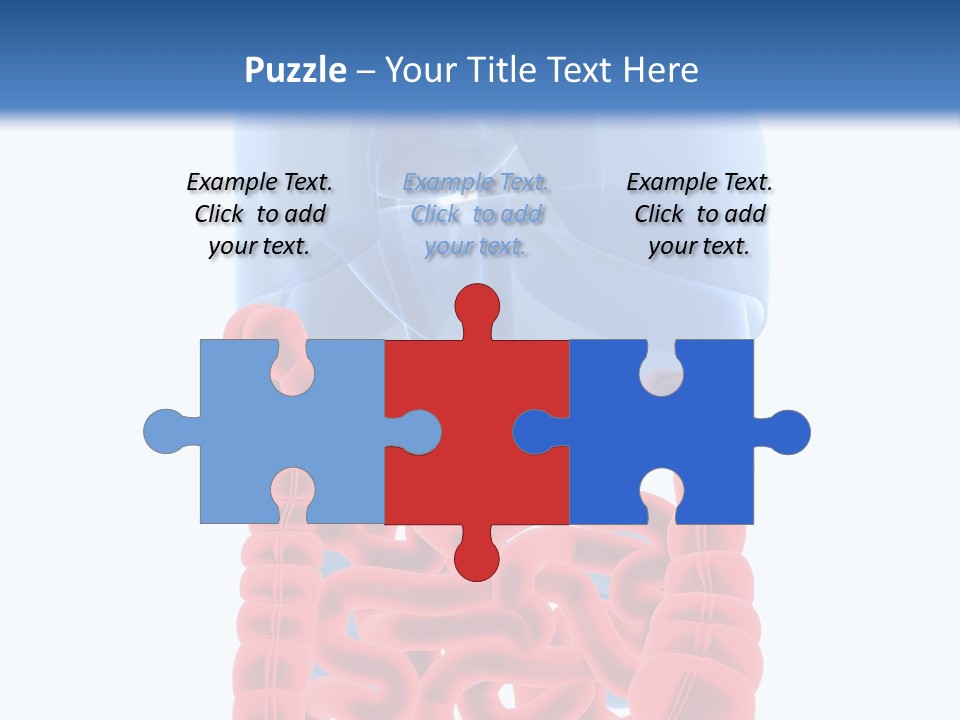 Vitals Organ Biology PowerPoint Template