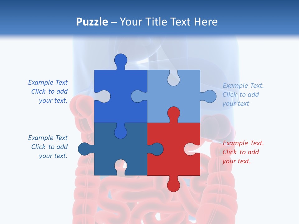 Vitals Organ Biology PowerPoint Template