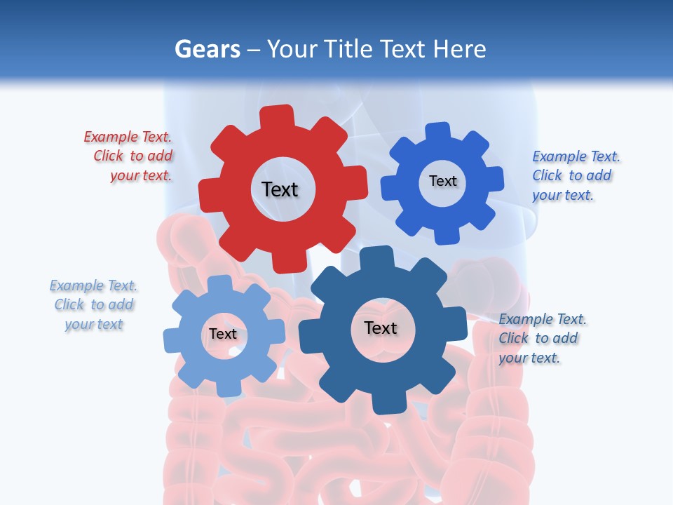 Vitals Organ Biology PowerPoint Template