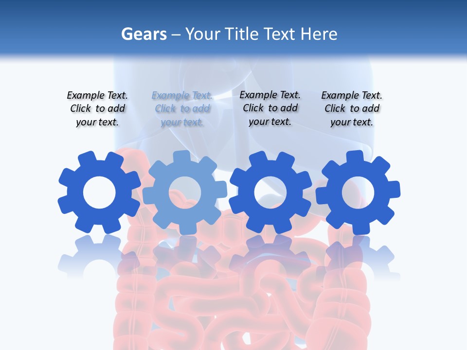 Vitals Organ Biology PowerPoint Template