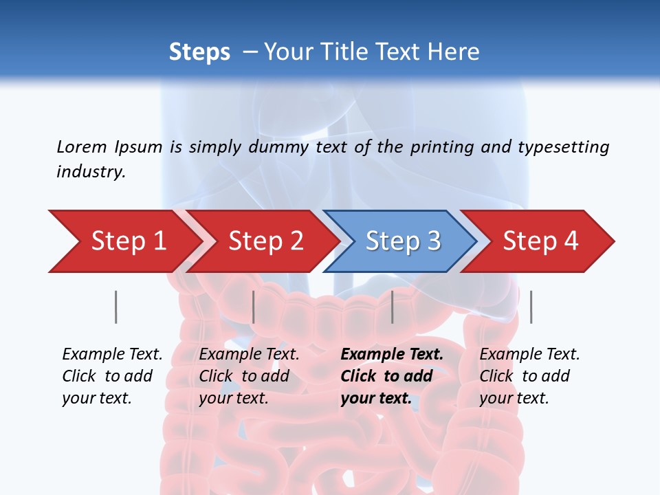 Vitals Organ Biology PowerPoint Template