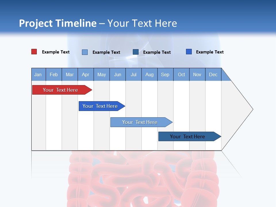 Vitals Organ Biology PowerPoint Template