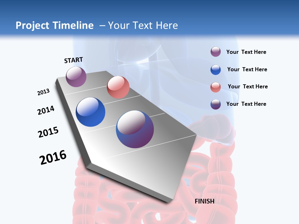 Vitals Organ Biology PowerPoint Template