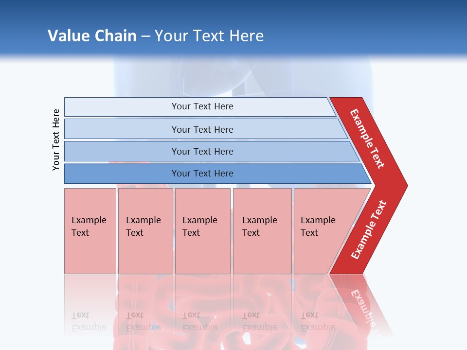 Vitals Organ Biology PowerPoint Template