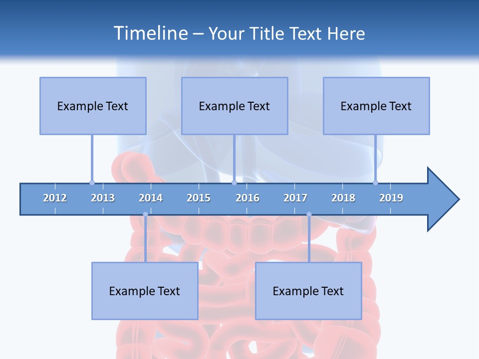 Vitals Organ Biology PowerPoint Template