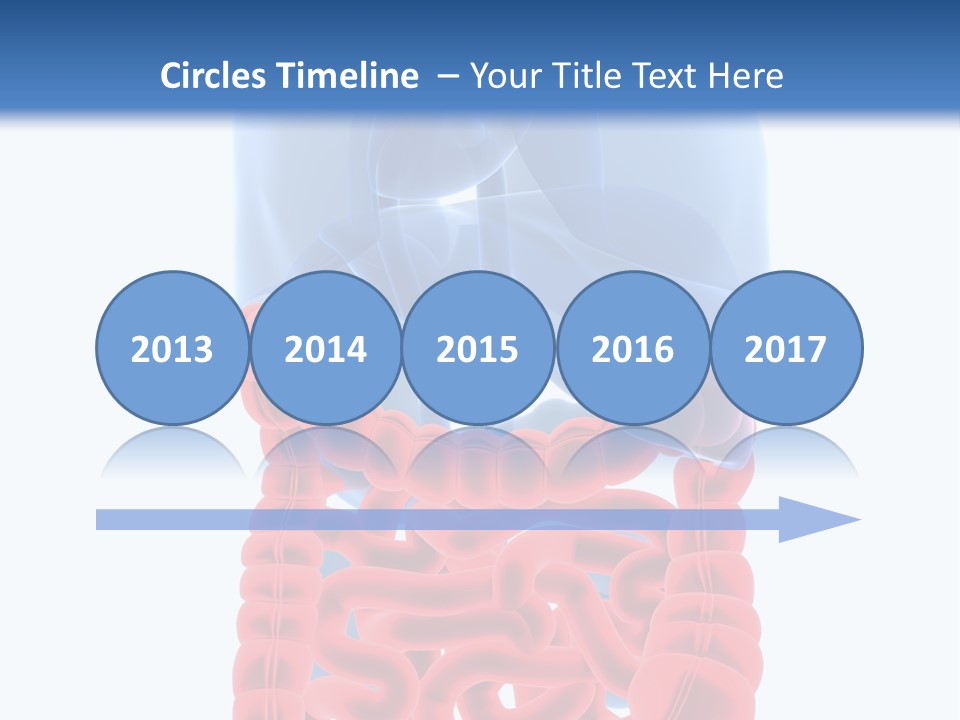 Vitals Organ Biology PowerPoint Template