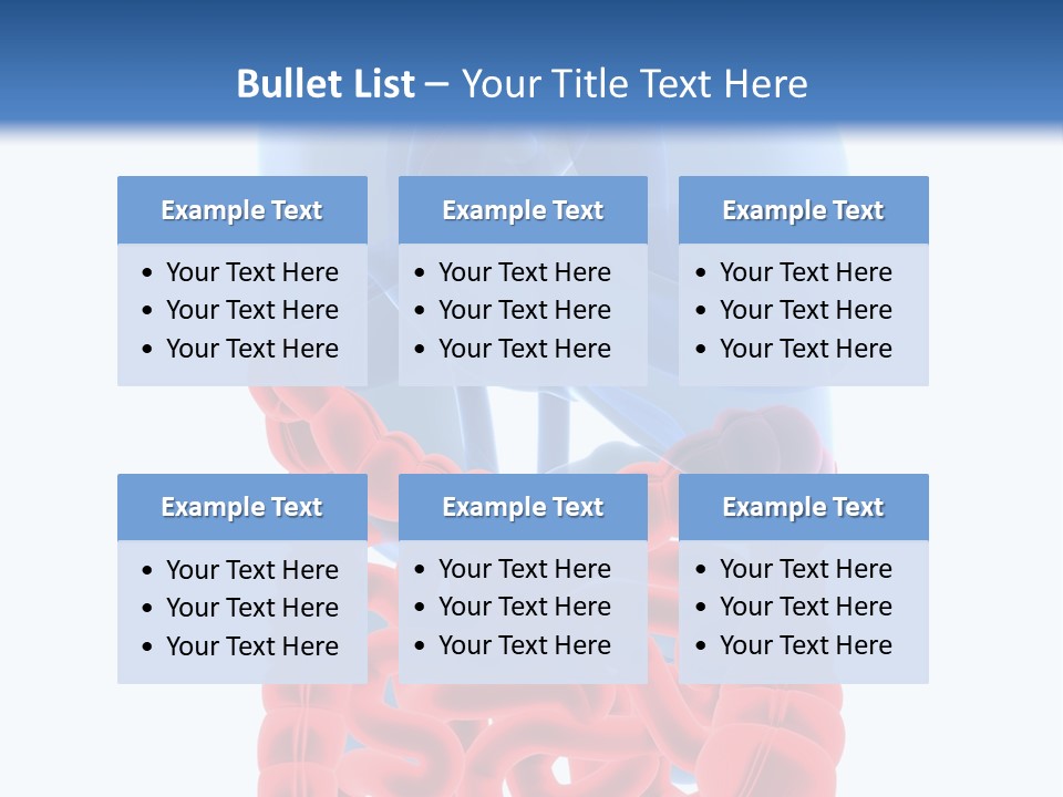 Vitals Organ Biology PowerPoint Template