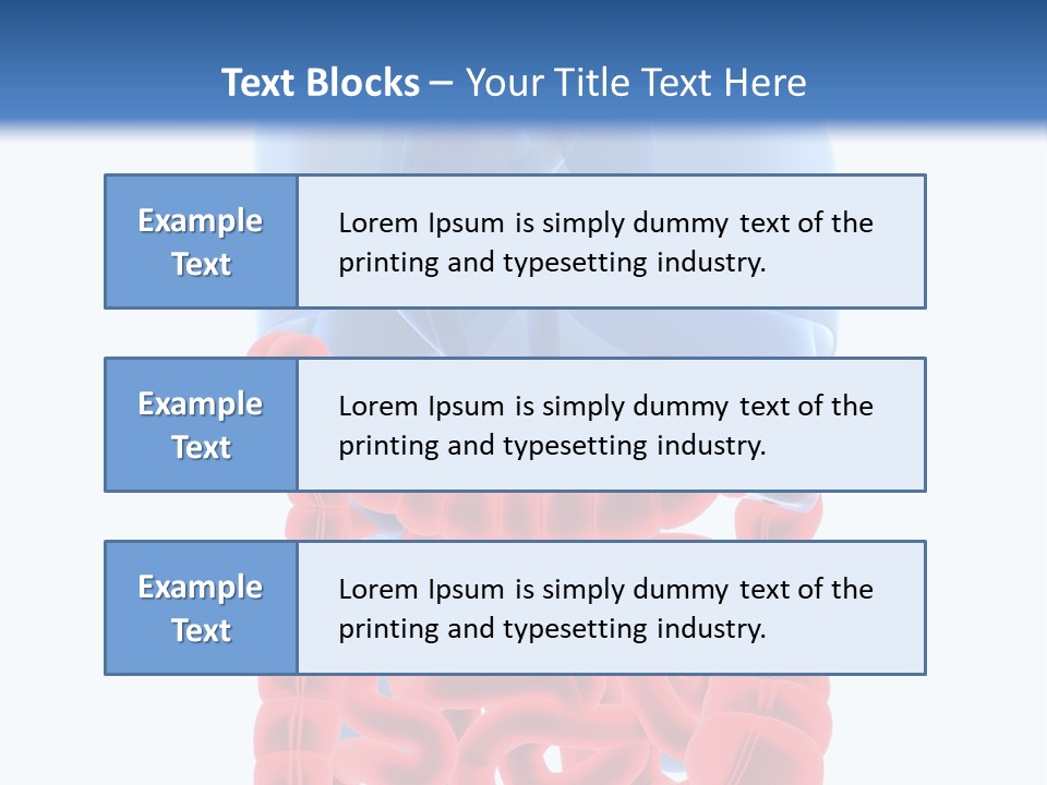Vitals Organ Biology PowerPoint Template