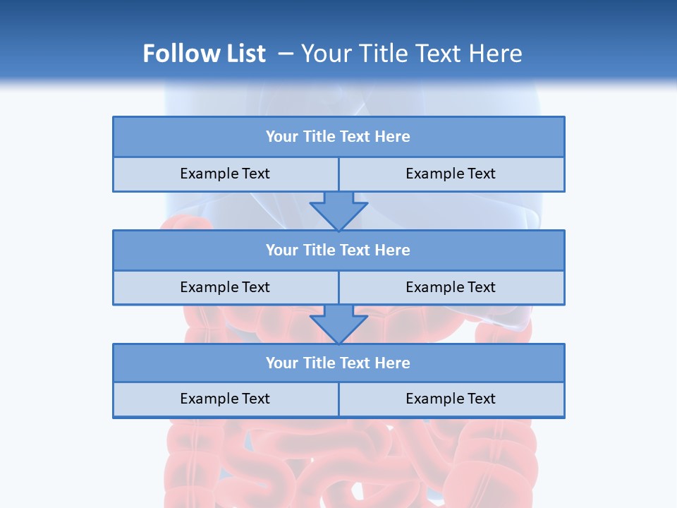 Vitals Organ Biology PowerPoint Template