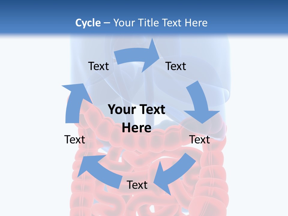 Vitals Organ Biology PowerPoint Template