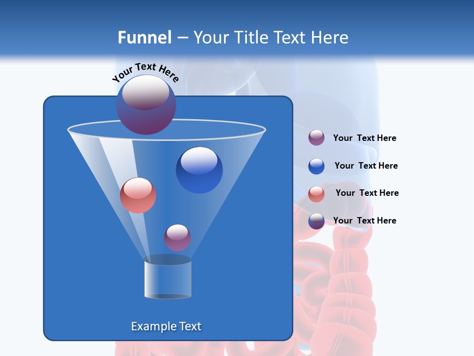 Vitals Organ Biology PowerPoint Template