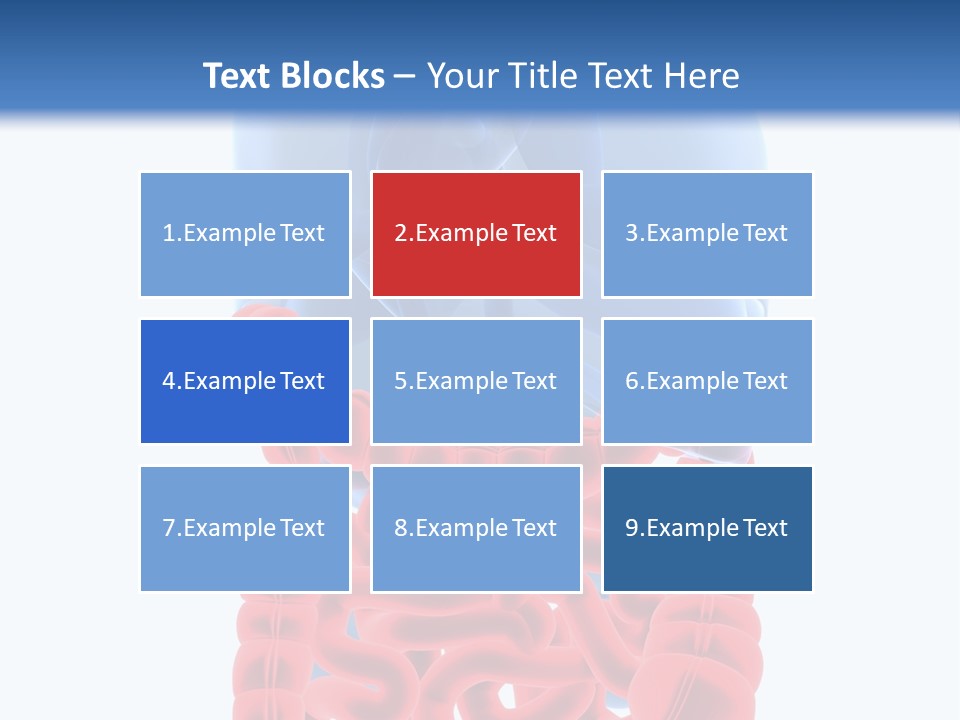 Vitals Organ Biology PowerPoint Template