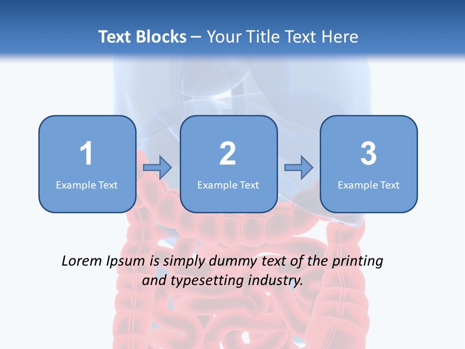 Vitals Organ Biology PowerPoint Template