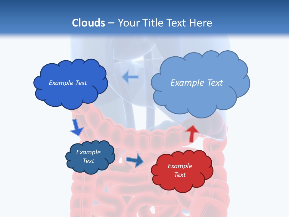 Vitals Organ Biology PowerPoint Template