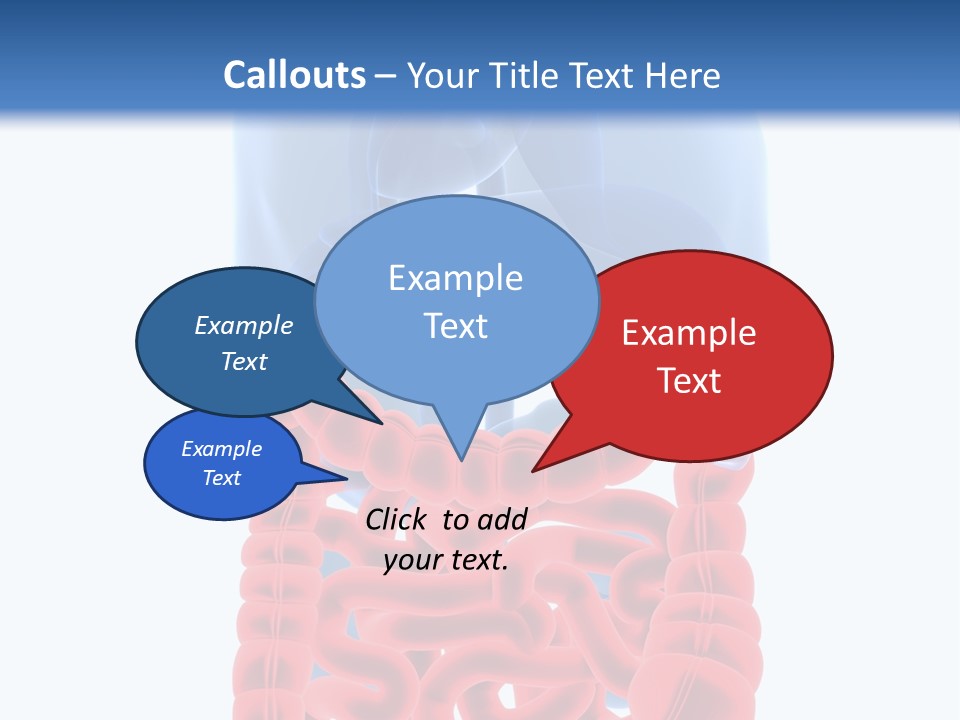 Vitals Organ Biology PowerPoint Template