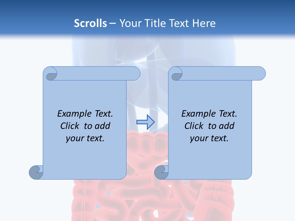 Vitals Organ Biology PowerPoint Template