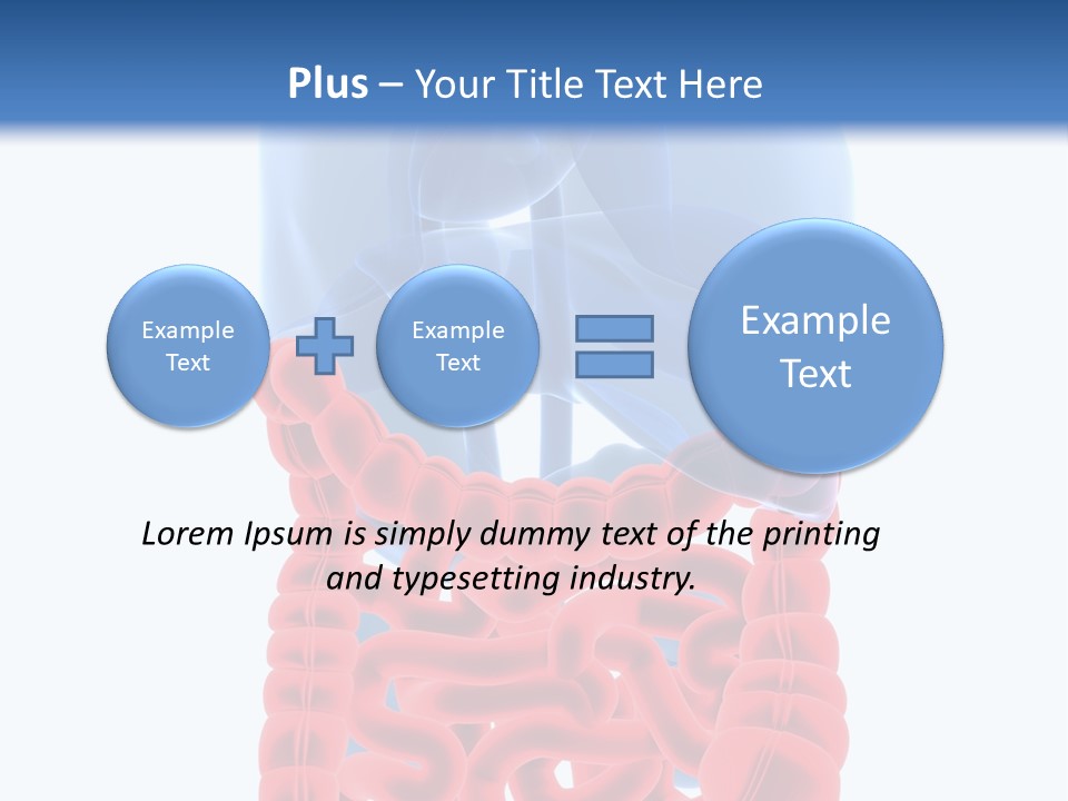 Vitals Organ Biology PowerPoint Template