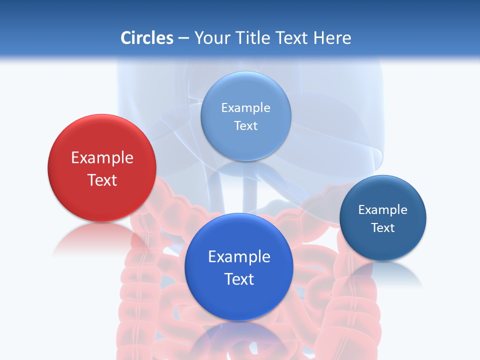 Vitals Organ Biology PowerPoint Template