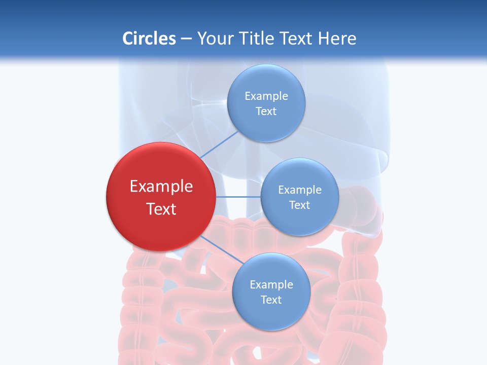 Vitals Organ Biology PowerPoint Template