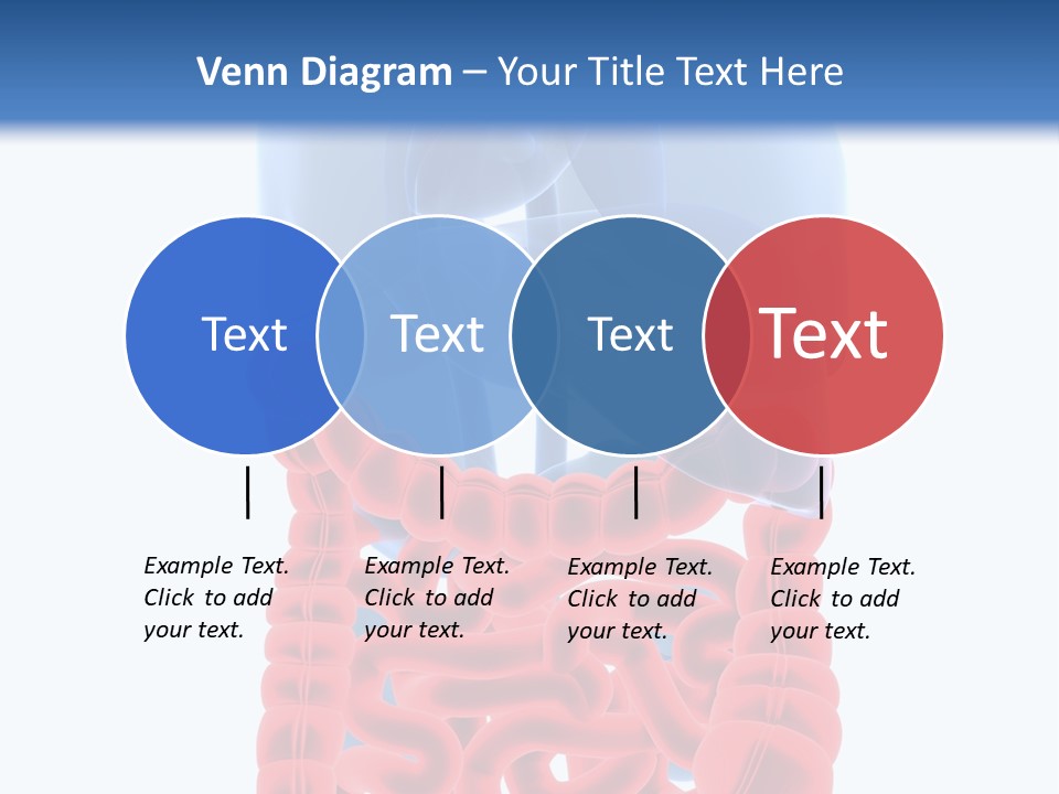 Vitals Organ Biology PowerPoint Template