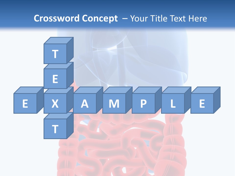Vitals Organ Biology PowerPoint Template