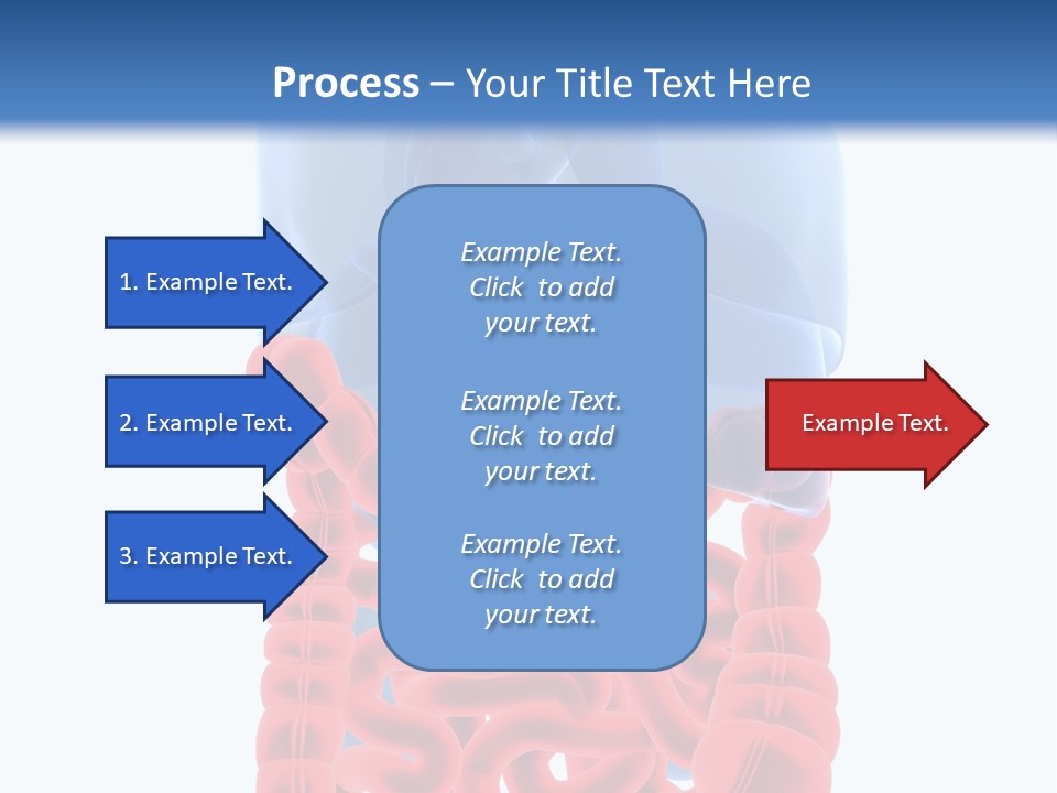 Vitals Organ Biology PowerPoint Template