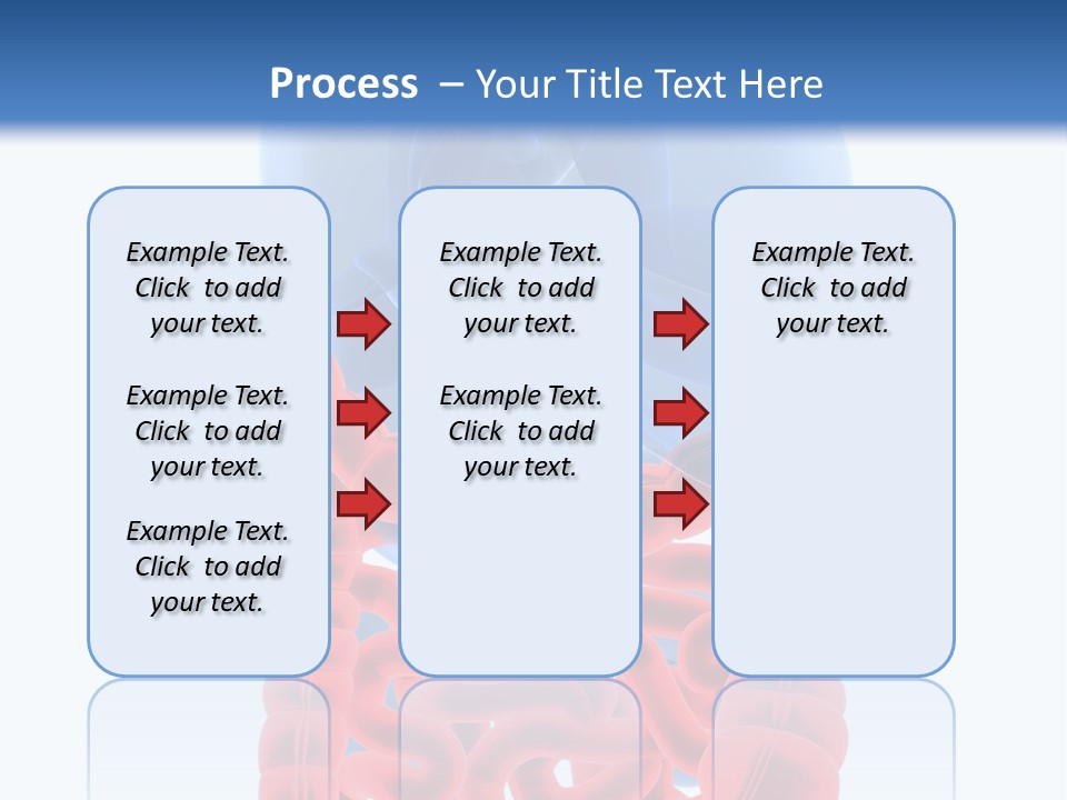 Vitals Organ Biology PowerPoint Template