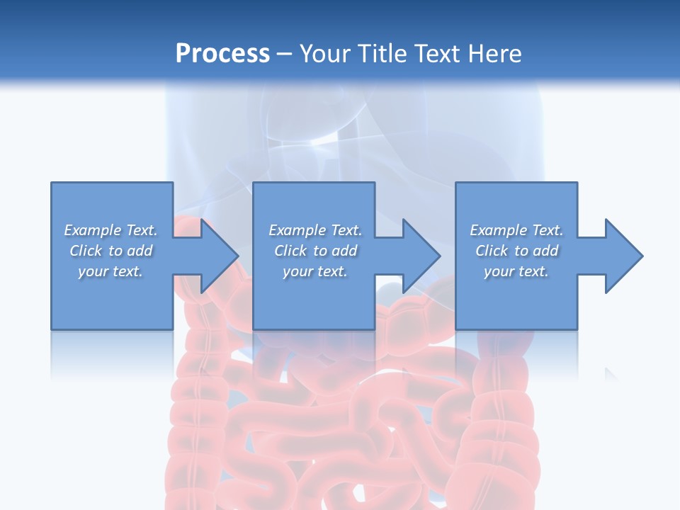 Vitals Organ Biology PowerPoint Template