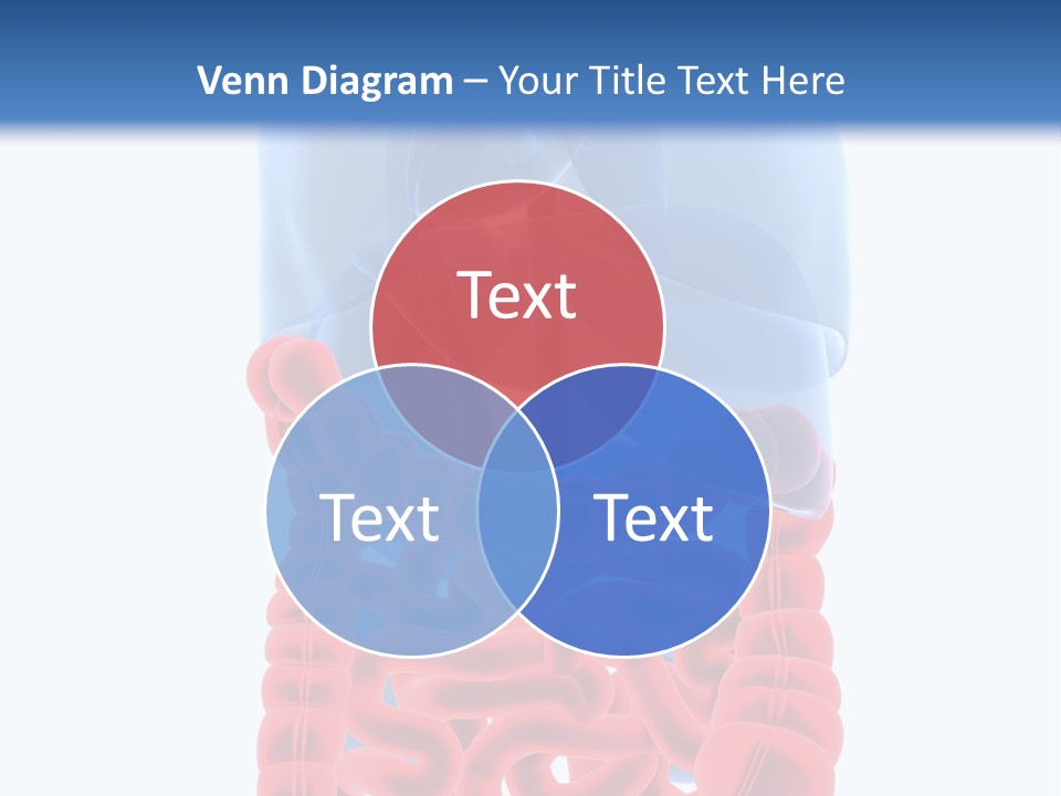 Vitals Organ Biology PowerPoint Template