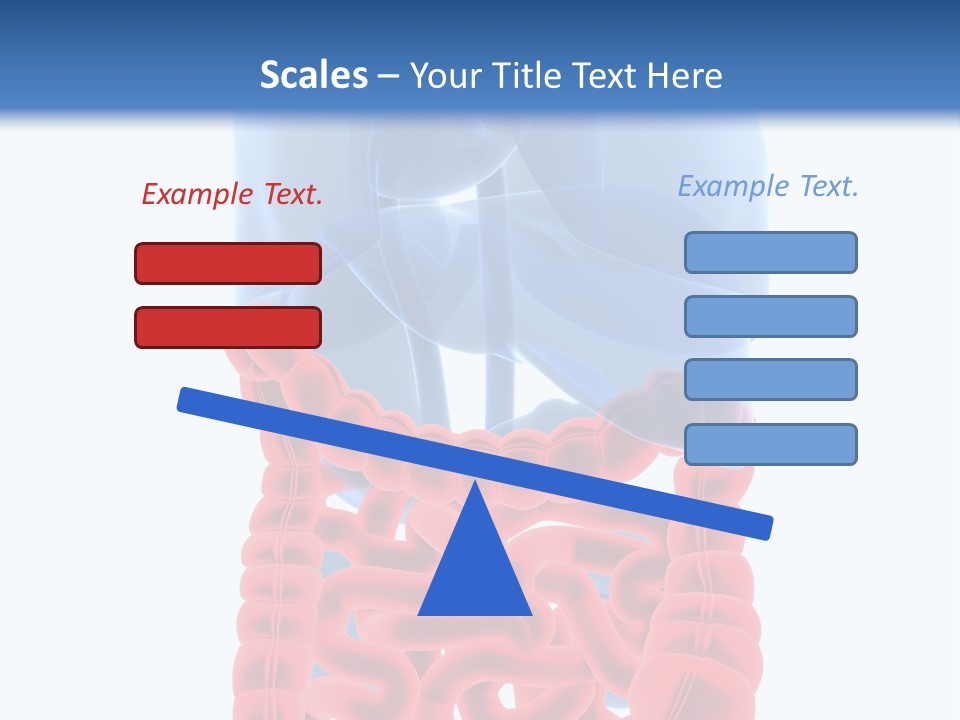 Vitals Organ Biology PowerPoint Template