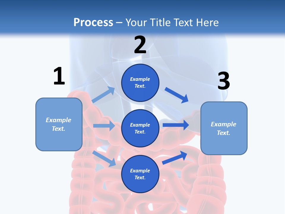 Vitals Organ Biology PowerPoint Template