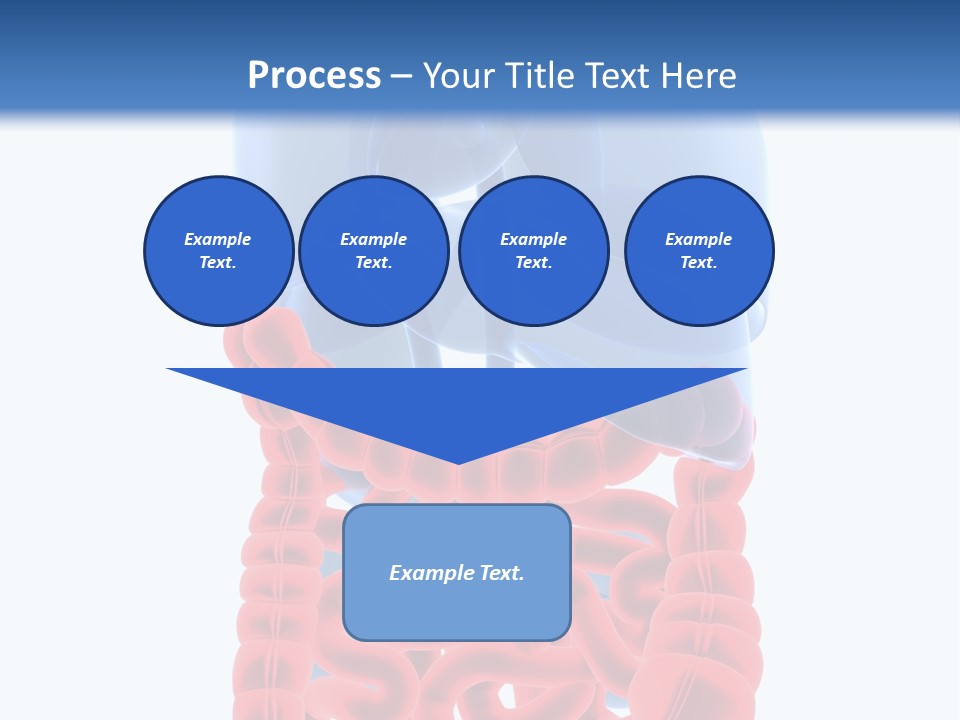 Vitals Organ Biology PowerPoint Template