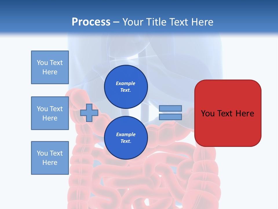 Vitals Organ Biology PowerPoint Template