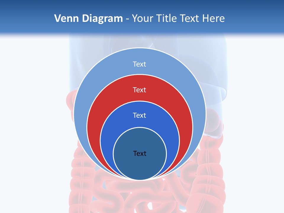 Vitals Organ Biology PowerPoint Template