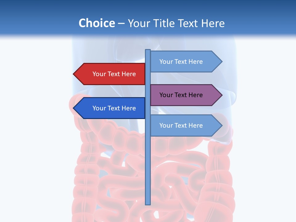 Vitals Organ Biology PowerPoint Template