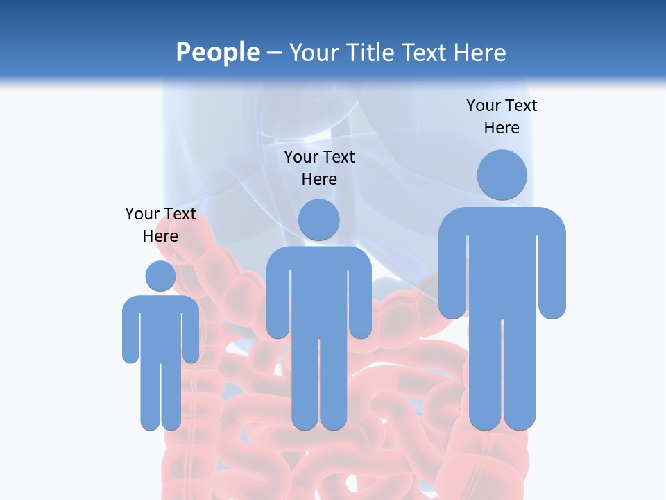 Vitals Organ Biology PowerPoint Template