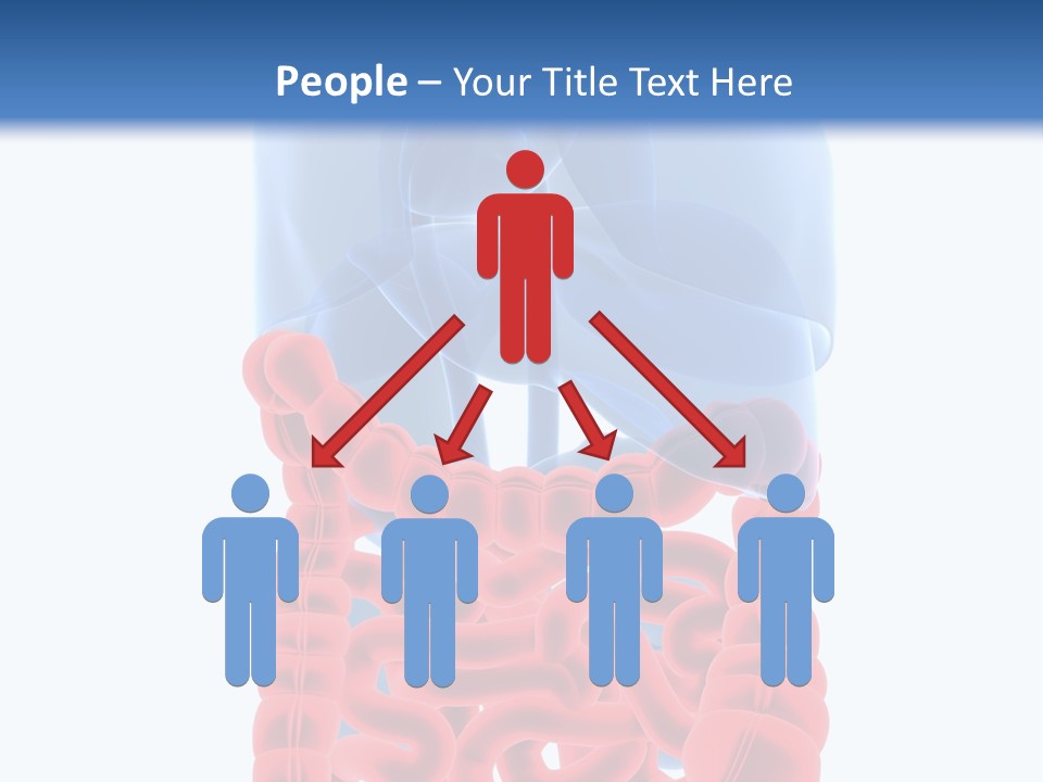 Vitals Organ Biology PowerPoint Template