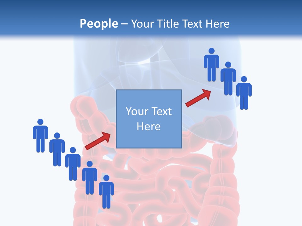 Vitals Organ Biology PowerPoint Template