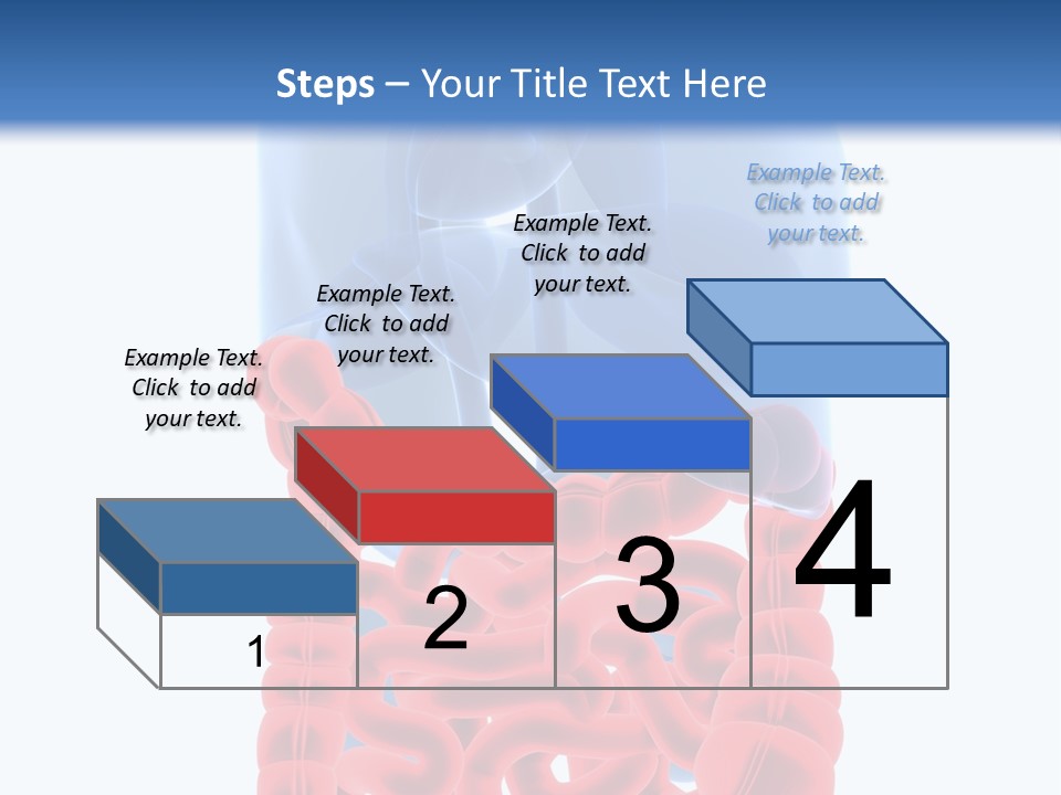 Vitals Organ Biology PowerPoint Template