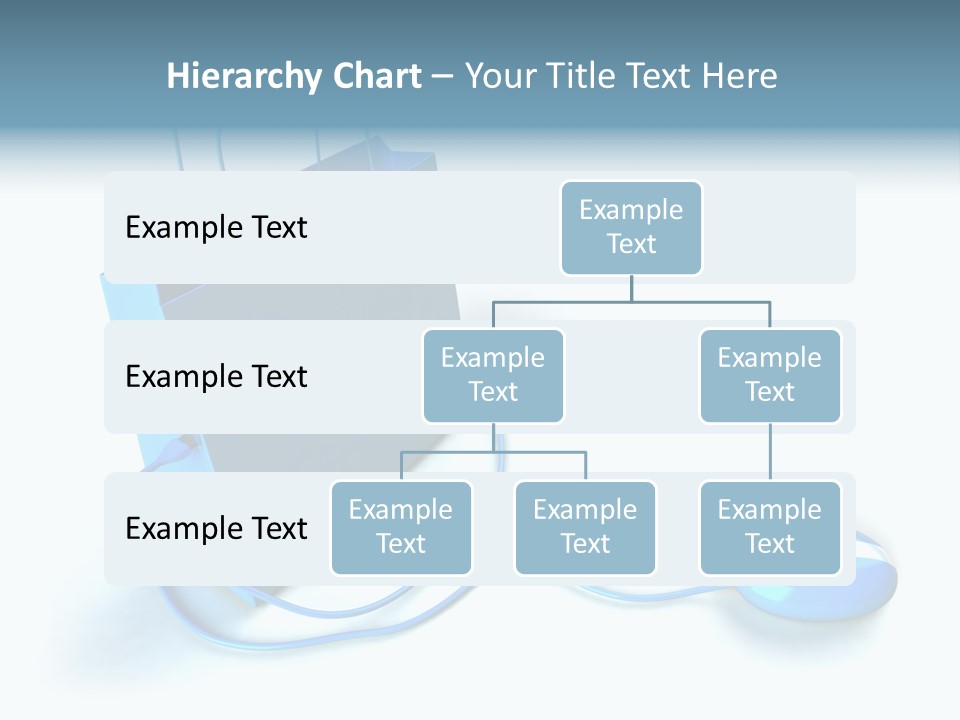 Consumer Buyer Fashion PowerPoint Template