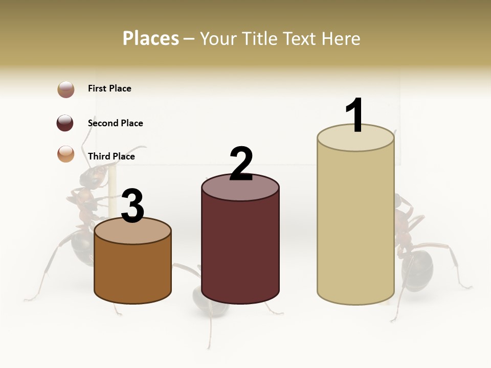 A Group Of Ants Standing Next To Each Other PowerPoint Template