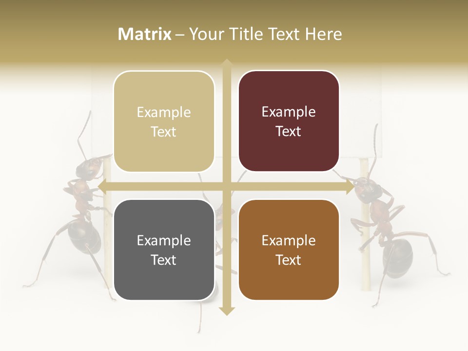 A Group Of Ants Standing Next To Each Other PowerPoint Template