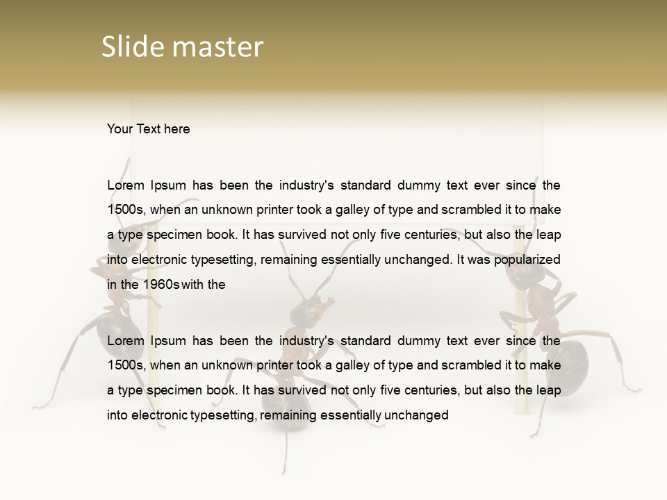 A Group Of Ants Standing Next To Each Other PowerPoint Template