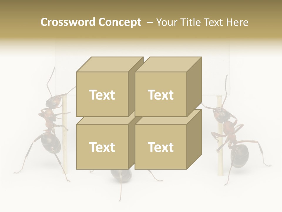 A Group Of Ants Standing Next To Each Other PowerPoint Template